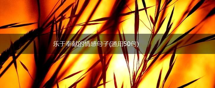 乐于奉献的情感句子(通用50句),第1张