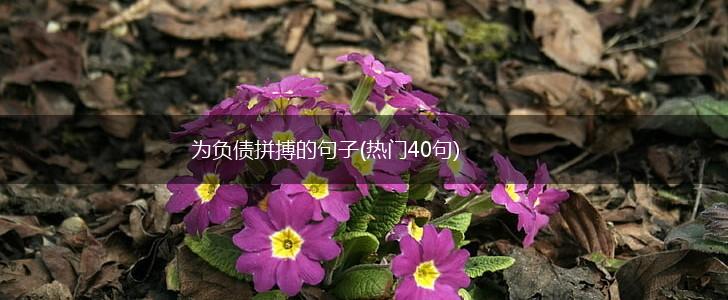 为负债拼搏的句子(热门40句),第1张