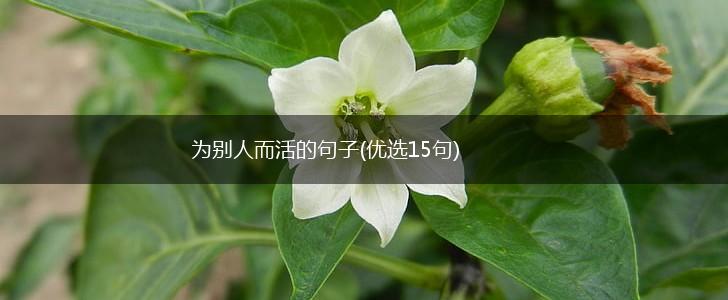 为别人而活的句子(优选15句),第1张