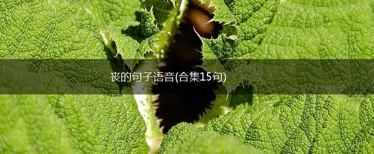 丧的句子语音(合集15句),第1张