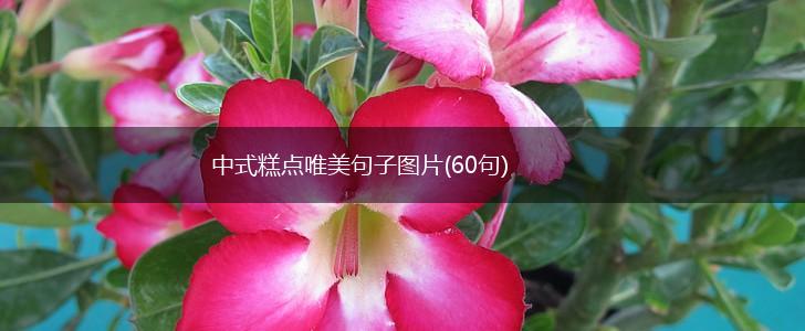 中式糕点唯美句子图片(60句),第1张