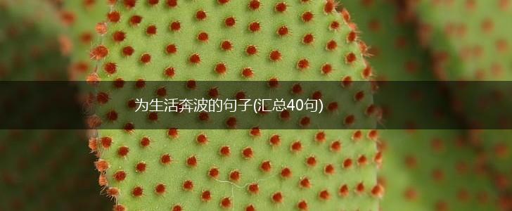 为生活奔波的句子(汇总40句),第1张