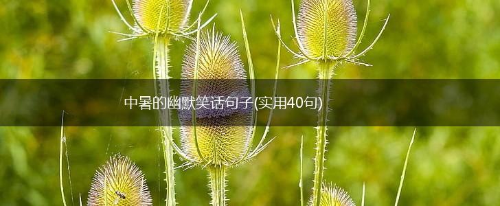 中暑的幽默笑话句子(实用40句),第1张