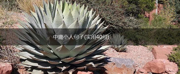 中庸小人句子(实用40句),第1张