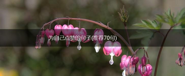 为自己点赞的句子(推荐70句),第1张