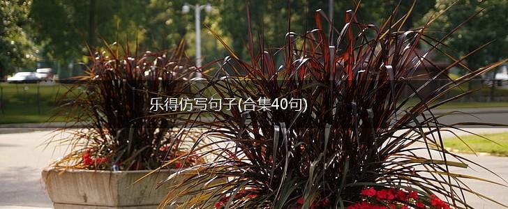 乐得仿写句子(合集40句),第1张