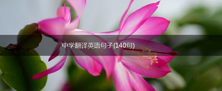 中学翻译英语句子(140句),第1张