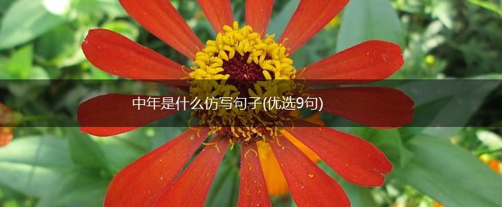 中年是什么仿写句子(优选9句),第1张