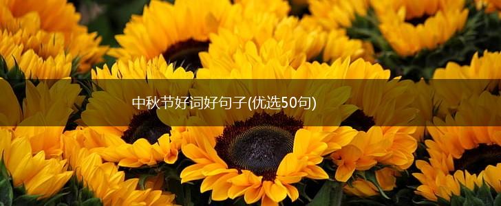 中秋节好词好句子(优选50句),第1张