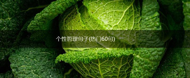 个性哲理句子(热门60句),第1张