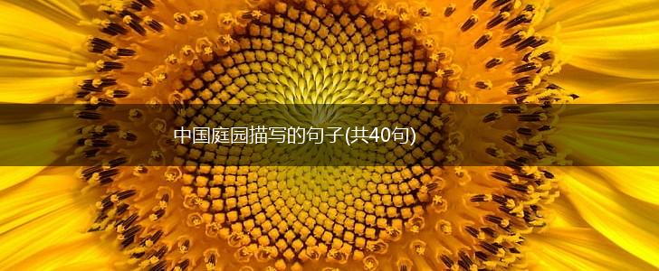 中国庭园描写的句子(共40句),第1张