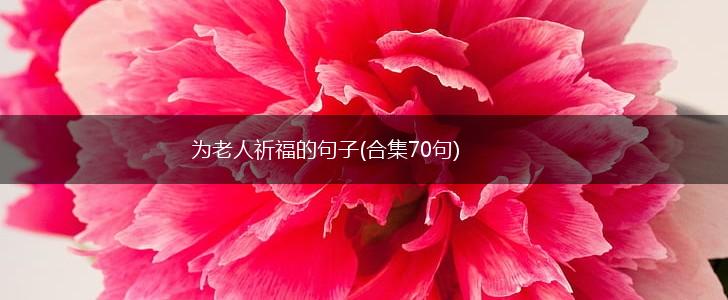 为老人祈福的句子(合集70句),第1张