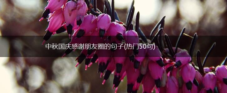 中秋国庆感谢朋友圈的句子(热门50句),第1张