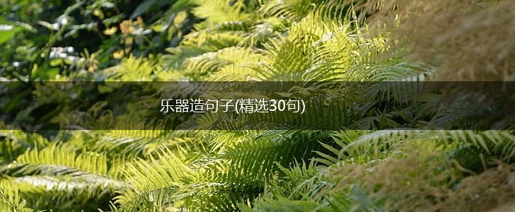 乐器造句子(精选30句),第1张