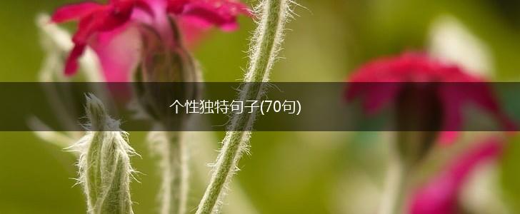 个性独特句子(70句),第1张