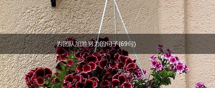 为团队加油努力的句子(69句),第1张