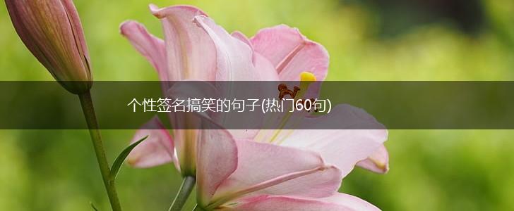 个性签名搞笑的句子(热门60句),第1张