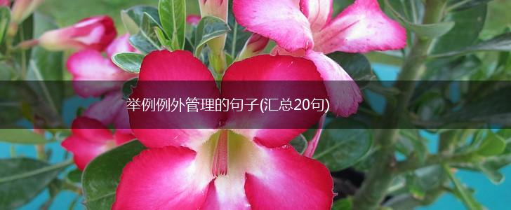 举例例外管理的句子(汇总20句),第1张