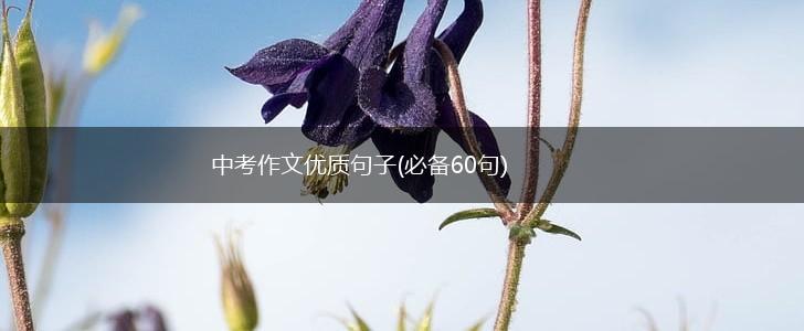 中考作文优质句子(必备60句),第1张