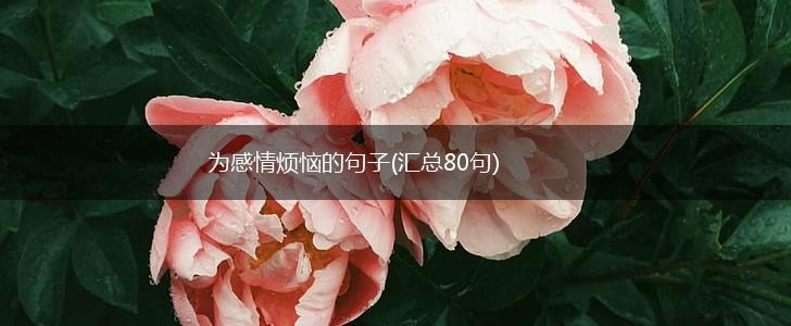 为感情烦恼的句子(汇总80句),第1张