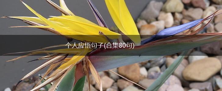 个人应悟句子(合集80句),第1张