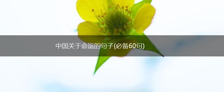 中国关于命运的句子(必备60句),第1张