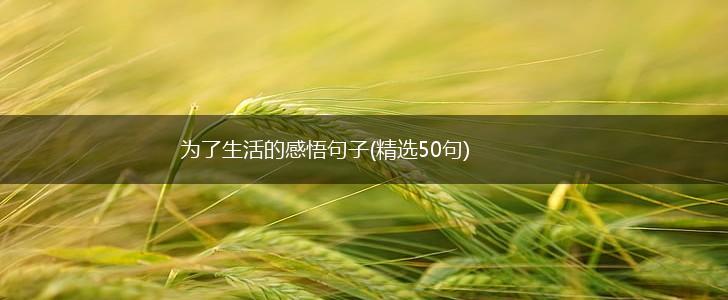 为了生活的感悟句子(精选50句),第1张