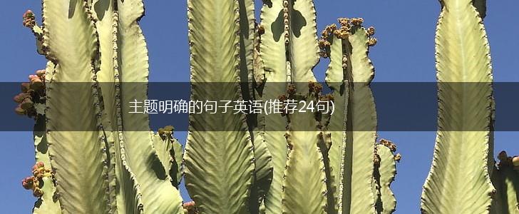 主题明确的句子英语(推荐24句),第1张