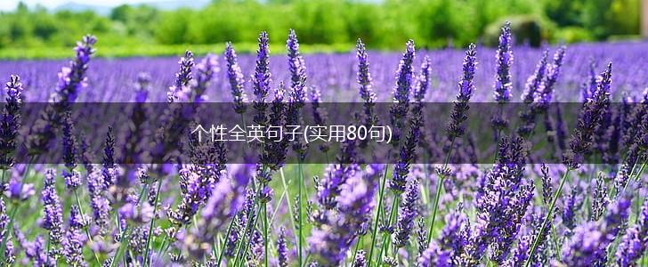 个性全英句子(实用80句),第1张