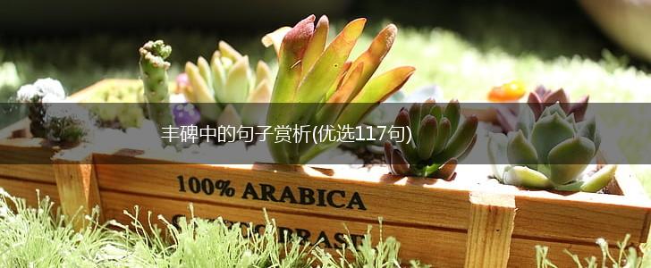 丰碑中的句子赏析(优选117句),第1张