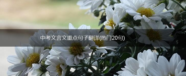 中考文言文重点句子翻译(热门20句),第1张