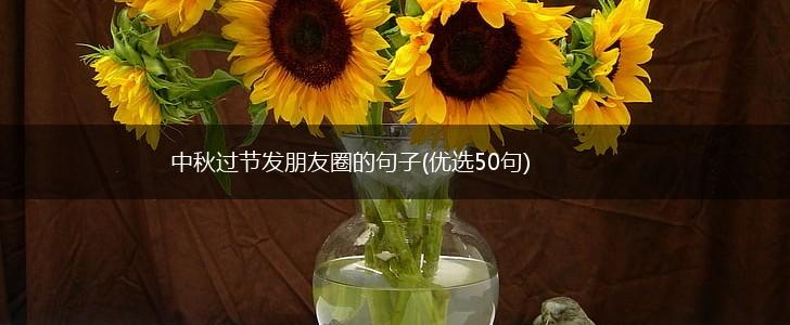 中秋过节发朋友圈的句子(优选50句),第1张