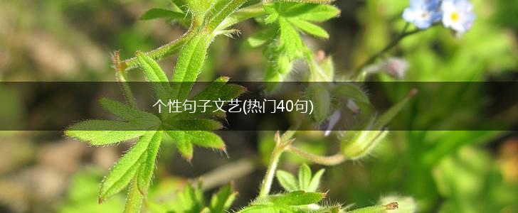 个性句子文艺(热门40句),第1张