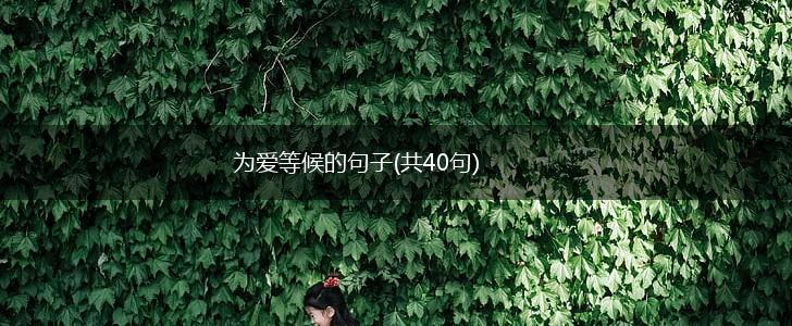 为爱等候的句子(共40句),第1张