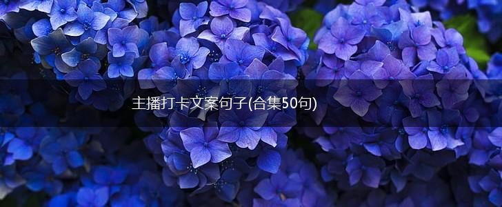 主播打卡文案句子(合集50句),第1张