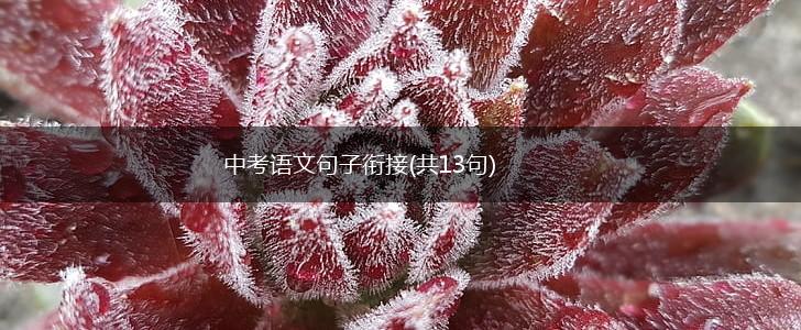 中考语文句子衔接(共13句),第1张