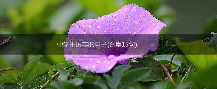 中学生厉志的句子(合集15句),第1张