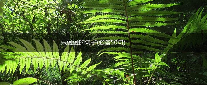 乐融融的句子(必备50句),第1张