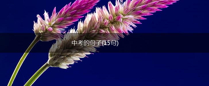 中考的句子(15句),第1张