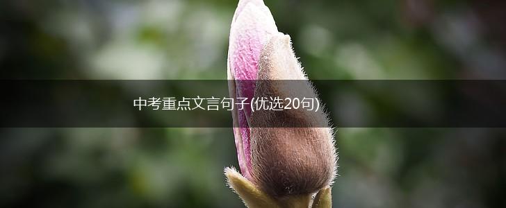 中考重点文言句子(优选20句),第1张