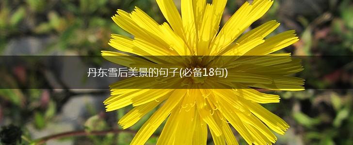 丹东雪后美景的句子(必备18句),第1张