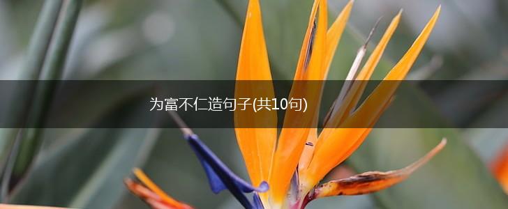 为富不仁造句子(共10句),第1张