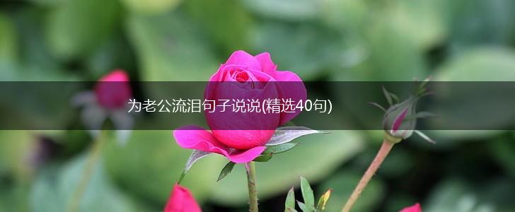 为老公流泪句子说说(精选40句),第1张