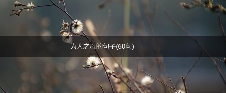 为人之母的句子(60句),第1张
