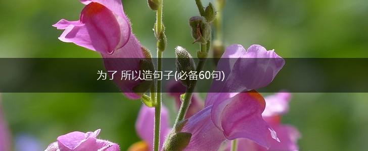 为了 所以造句子(必备60句),第1张