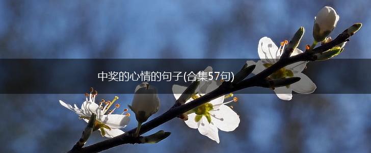 中奖的心情的句子(合集57句),第1张
