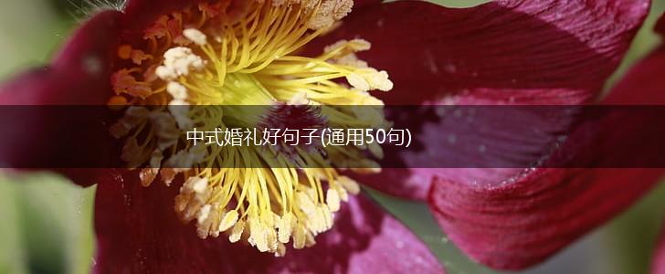 中式婚礼好句子(通用50句),第1张