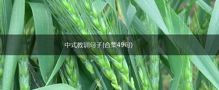 中式教训句子(合集49句),第1张