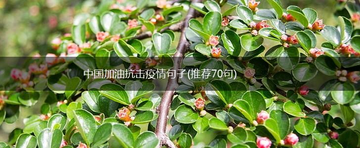 中国加油抗击疫情句子(推荐70句),第1张