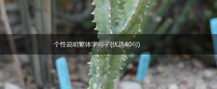 个性说明繁体字句子(优选40句),第1张